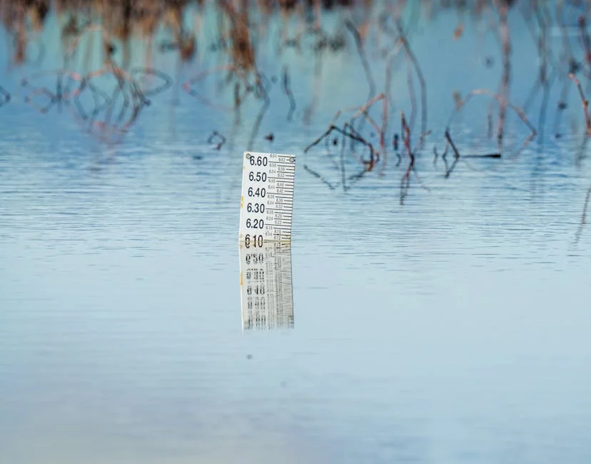 1,000 of 2022 flood victims in Yobe get N100,000 FG grant each