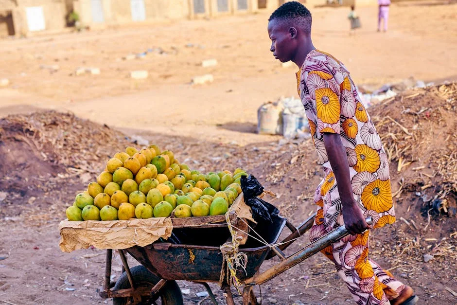 Africa Summit Bets Big on Farming and Health — Here Is What Changes — Health Medicine