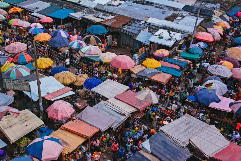 African Firms Face Scale Crisis Without Shared Ownership Model