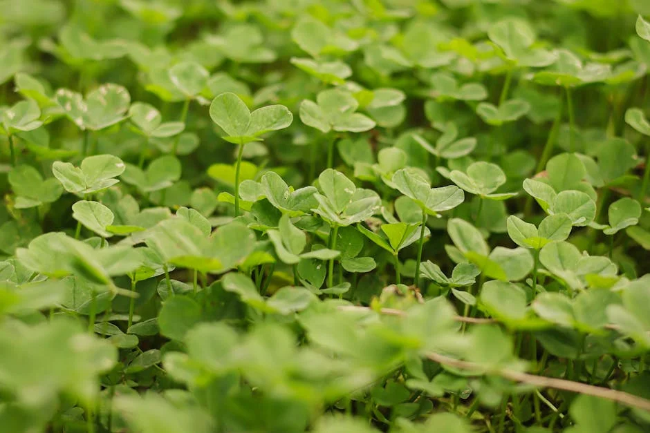 Air India Slams Up Fuel Surcharges as Gulf Tensions Heat Up - What It Means for Africa's Ambitions — Economy Business