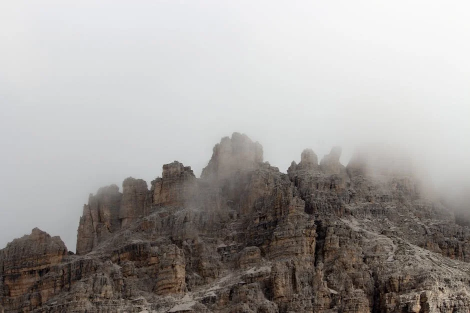 Alto Alentejo Reports €16 Million Losses: What This Means for Regional Development — Economy Business