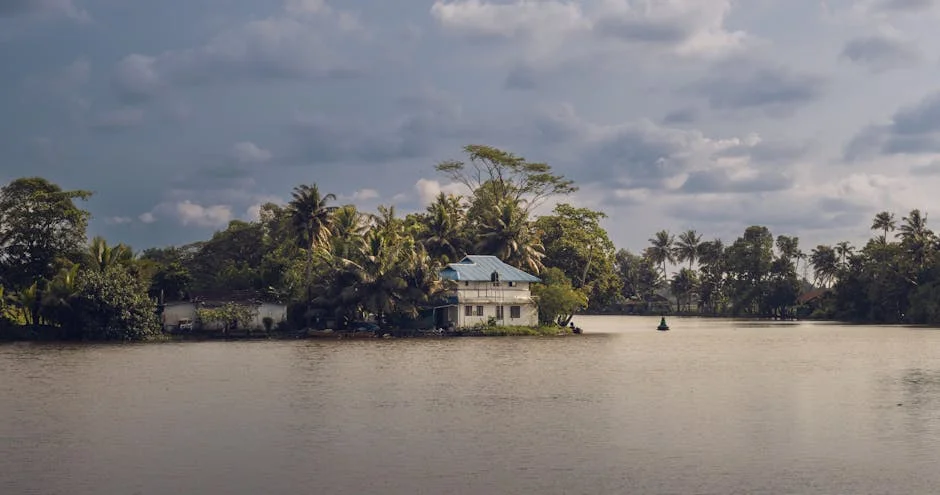 Anaicut Civic Group Demands Infrastructure Overhaul Amid Neglect