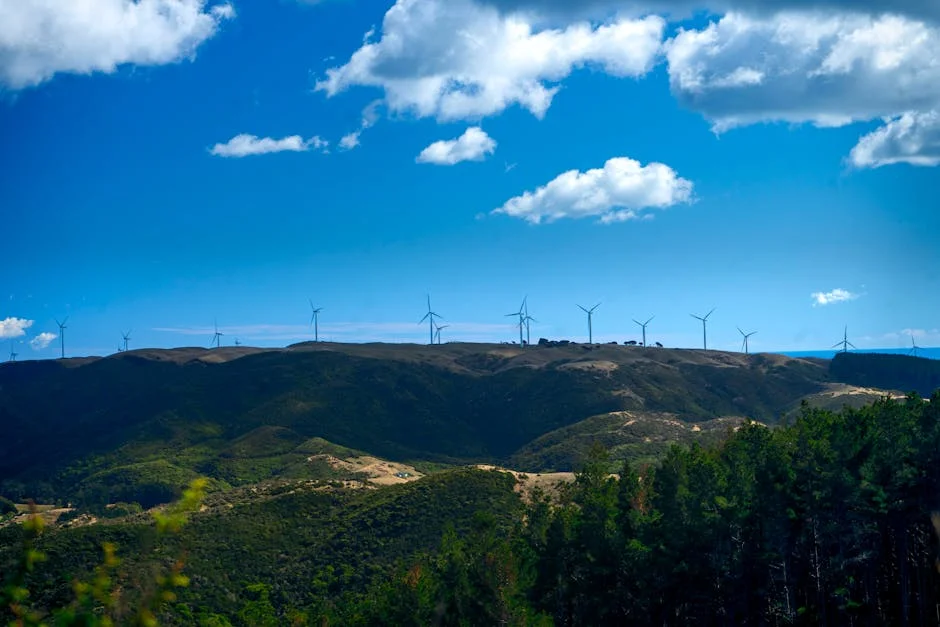 ANC Slams Winde's Parliamentary Outfit: An Insult to South Africans — Economy Business