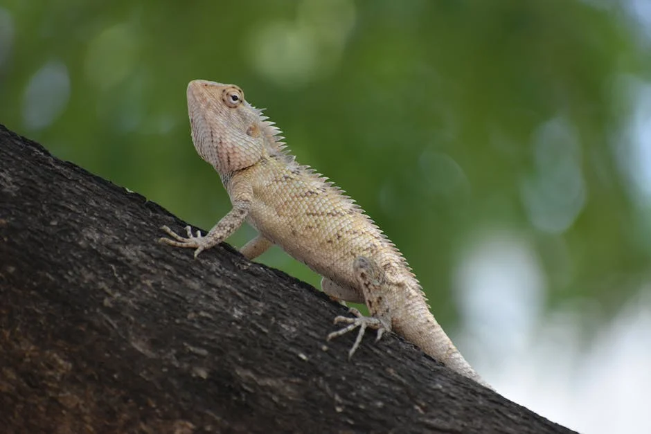 Arakkonam Authorities Arrest Two Youths for Drug Possession — what it means for Nigeria — Economy Business