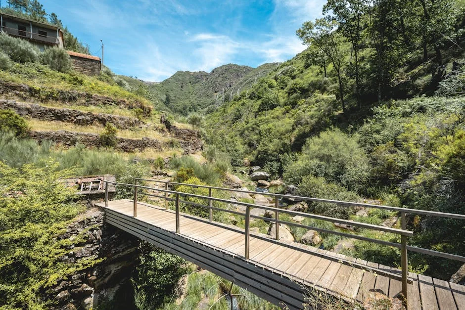 Arouca's Vasco Seabra Warns: Victory Could Have Swung Either Way — Here's Why — Economy Business