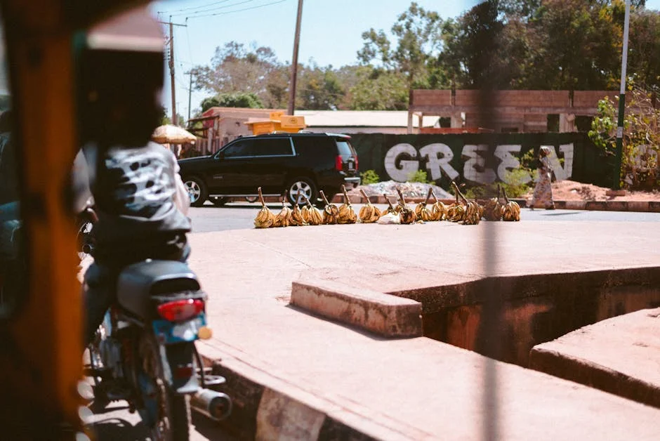 Atiku’s greed caused PDP’s defeat at Tribunal – VON DG