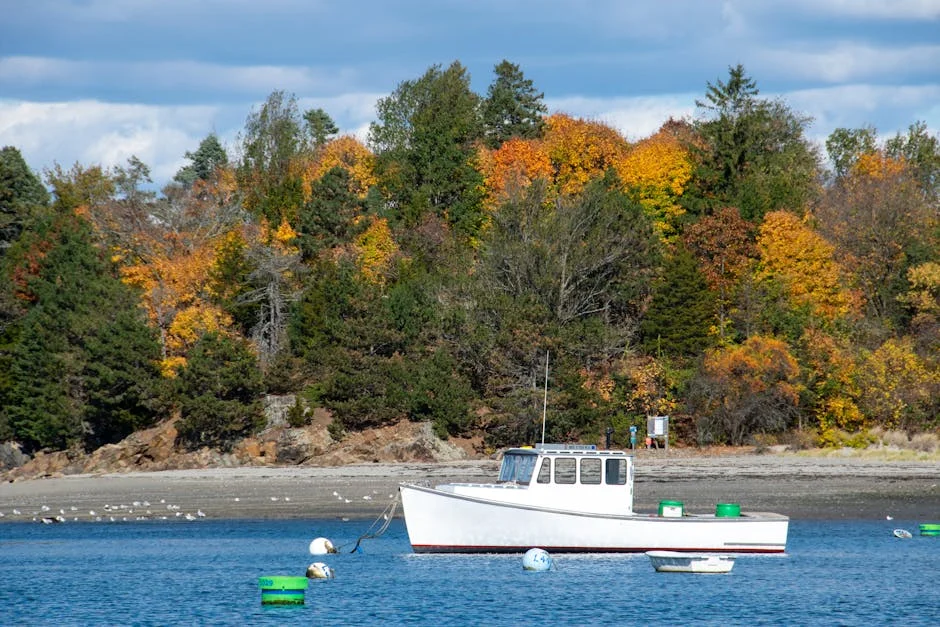 Axar Patel Declares 'I Won't Give Away Sixes': What It Means for India's World Cup Hopes — Economy Business