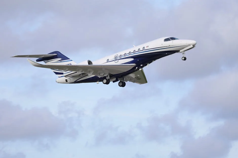 BAE Faces £120m Lawsuit — Aid Flights to Somalia Disrupted — Economy Business