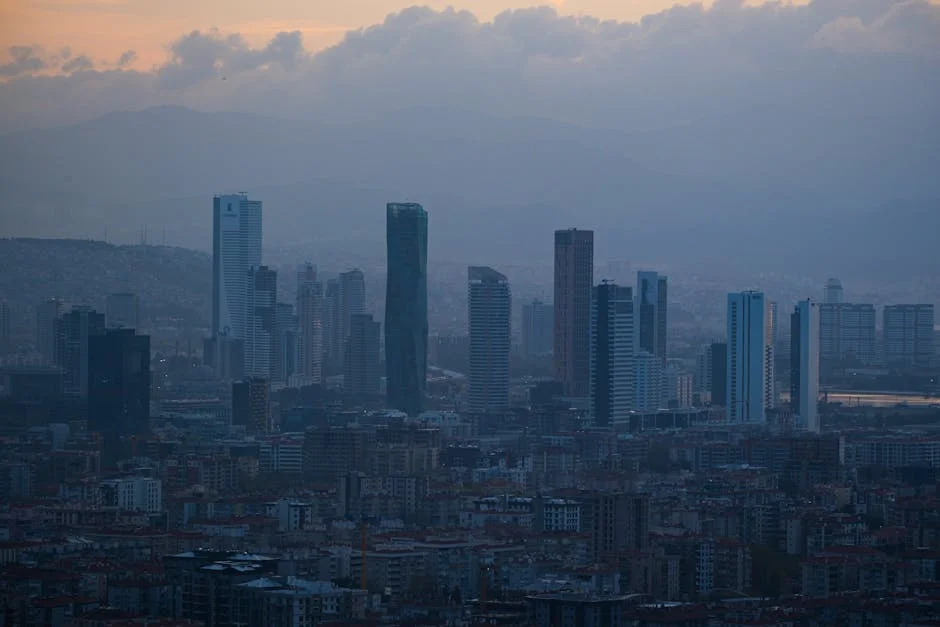 Bajaj Finance and Sun Pharmaceuticals Surge Amid West Asia Developments: Key Insights — Economy Business