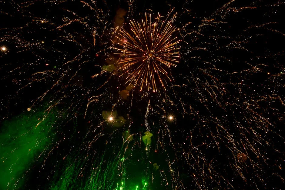 Bangladesh vs New Zealand Sparks Excitement in Chattogram — How Fans Are Reacting — Economy Business