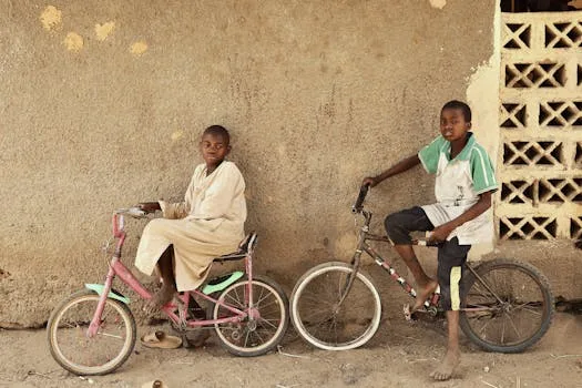 Bauchi Assembly Adopts Hausa As Language Of Communication  DAILY TRUST NEWS