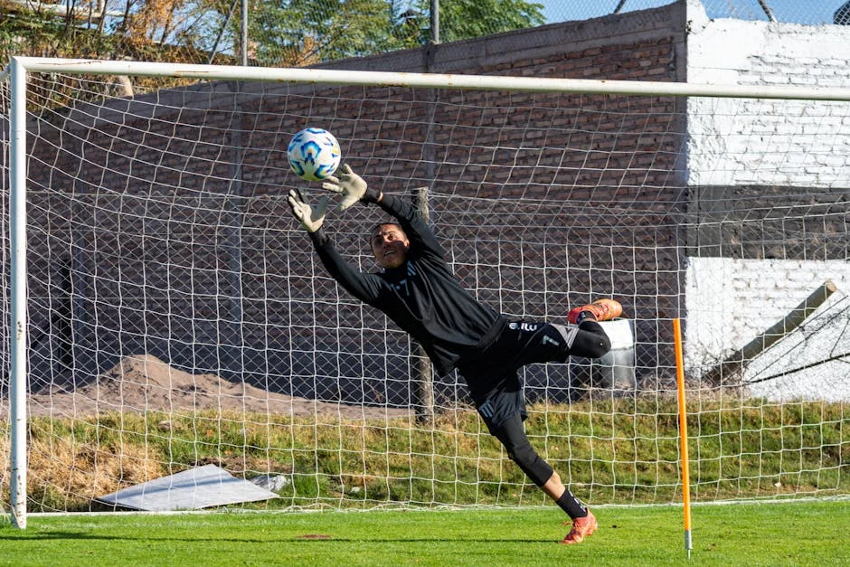 Beleza Praises Santos' Loyalty to Carneiro — Sparks Debate in Nigeria — Economy Business