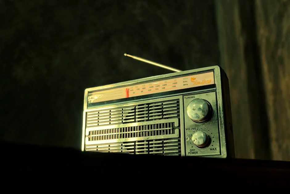 Benfica Challenges ERC's Decision on Radio License — Economy Business