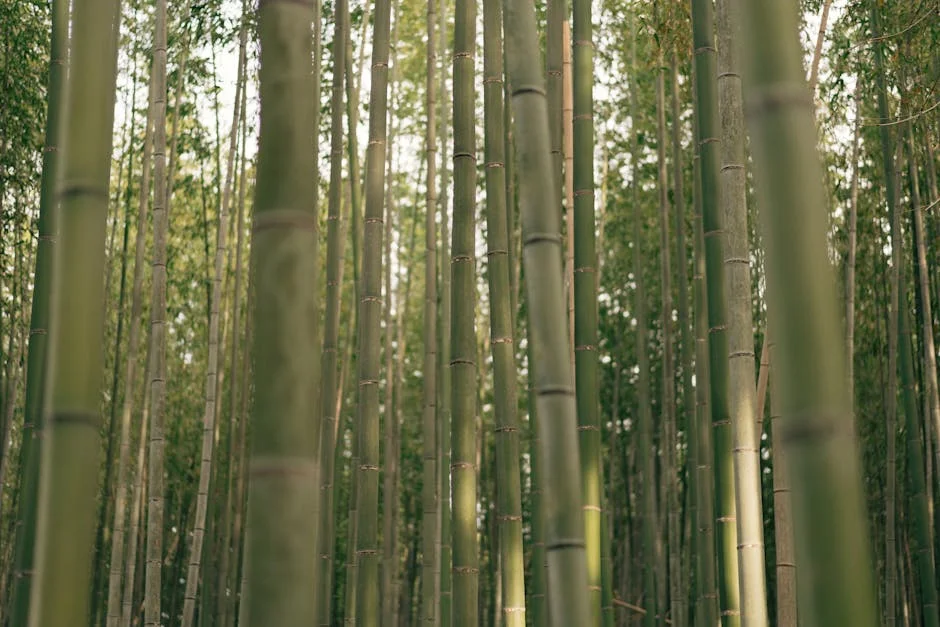 Brigid Kosgei Shatters Tokyo Marathon Record: What This Means for African Athletes — Economy Business