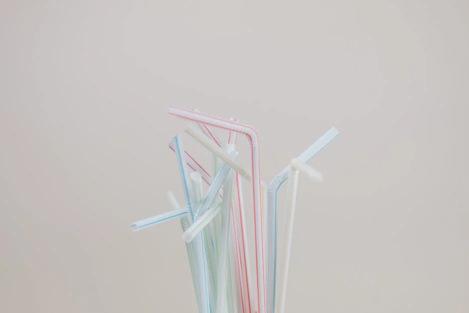 By 2050, Nigerian waters will have more plastics than aquatic lives – Researchers