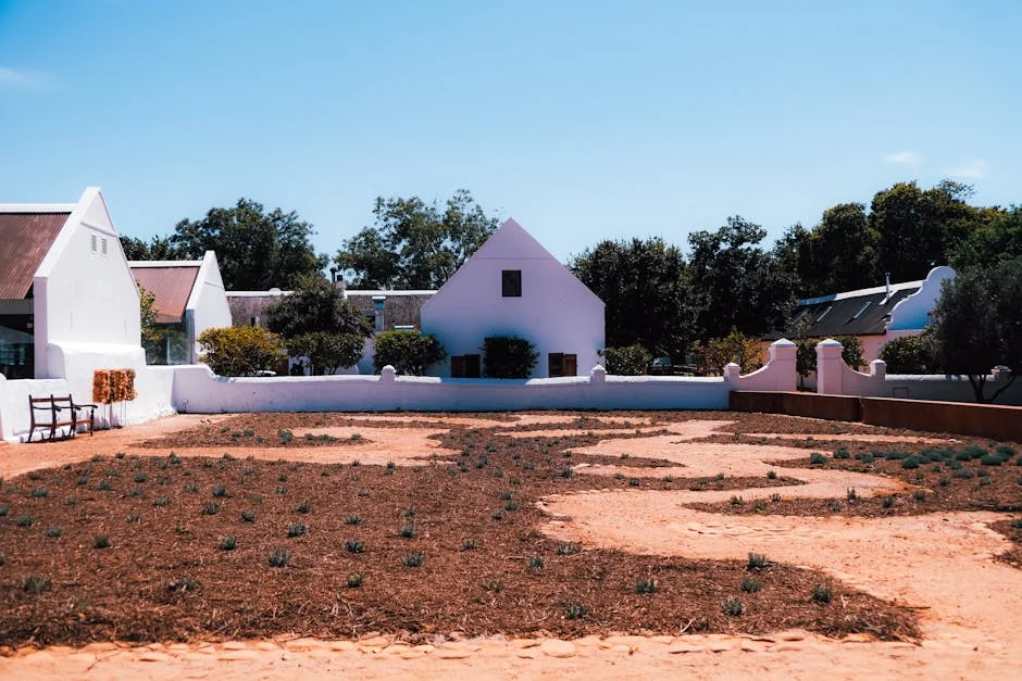 Cape Secretary Alwena Smith Sentenced for R13 Million Fraud — What It Means for Stellenbosch — Economy Business