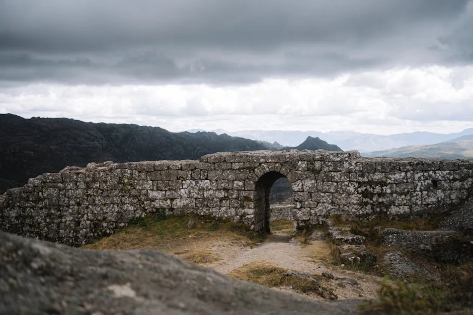 Castro Promises Alverca Will Be ‘Super Competitive’ in Liga — What This Means for Africa — Economy Business