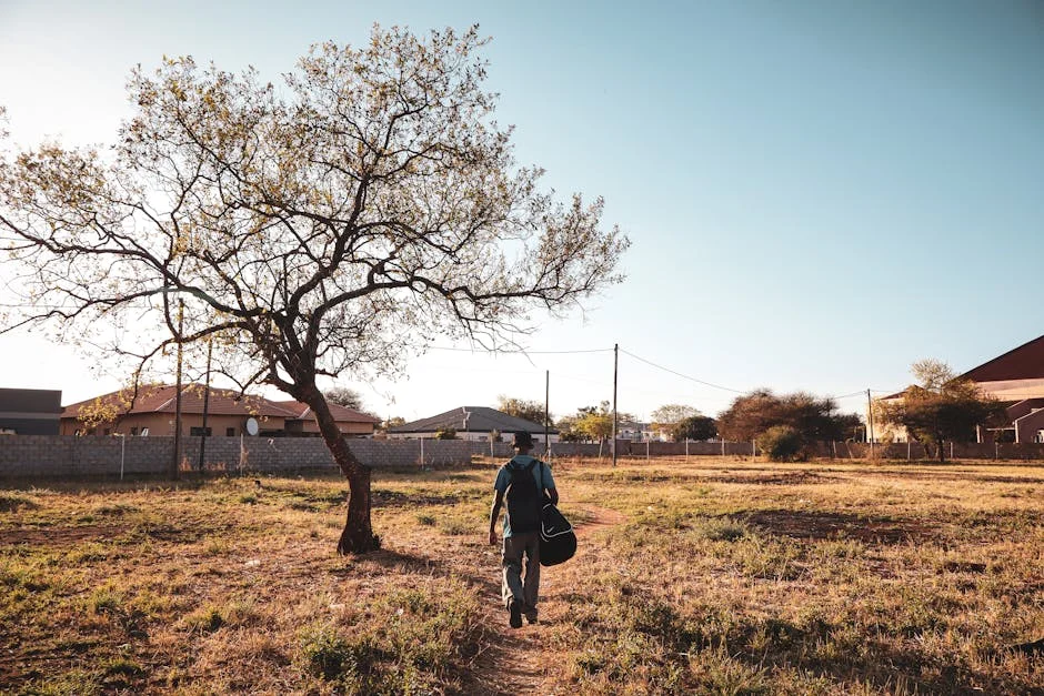 Cheslin Kolbe Reveals Return to South Africa – Here Is Where He Plays — Politics Governance