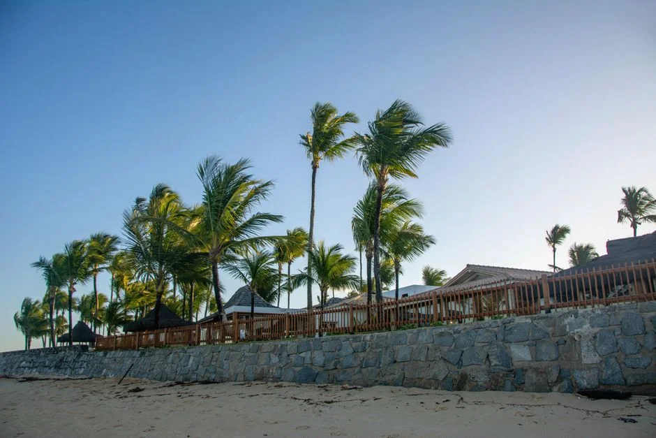Club Med Taps French Rockstar Chef for New South African Resort — Health Medicine