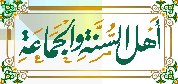 Costello van Steenis dominates PFL as Brutal latest news sparks debate