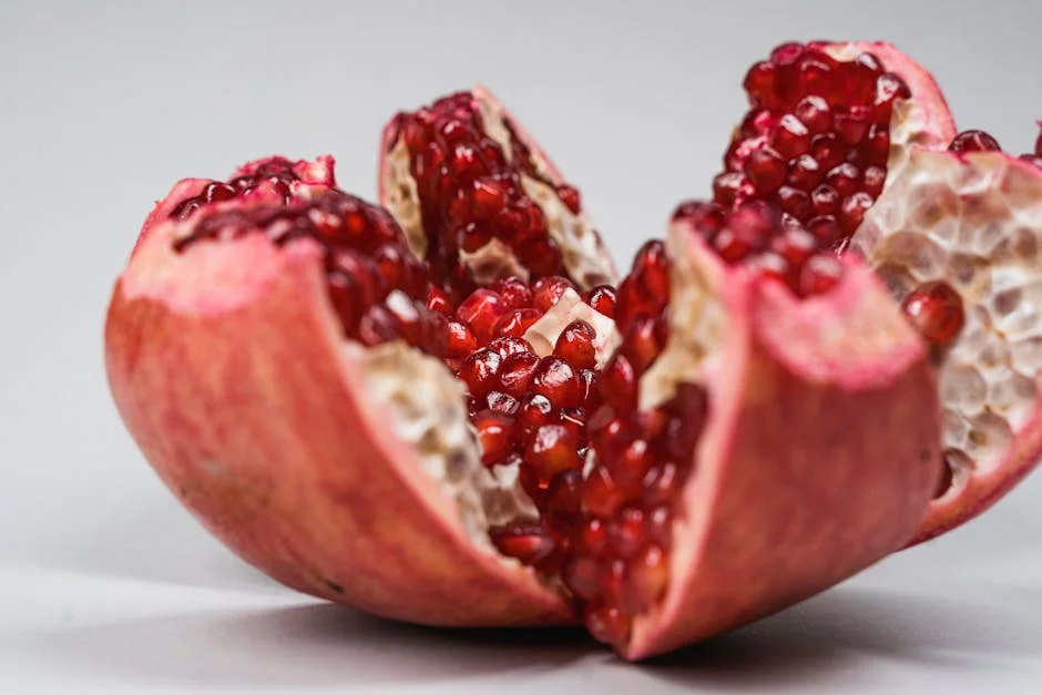 Discussions on Niger fruitful, war most unlikely, says ECOWAS envoy