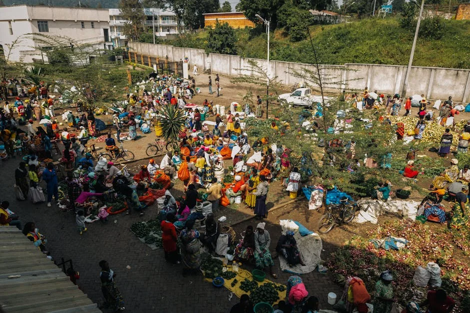 Ebola Spreads Beyond Africa — Health Authorities Launch Emergency Response — Health Medicine