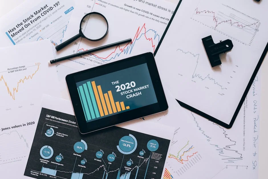 Economic Freedom Fighters Slam Showmax Closure in South Africa: What It Means for Jobs — Economy Business