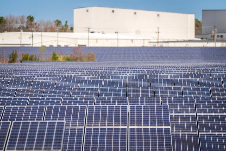 Eskom Slams Solar Homes — Prices Surge for South Africa — Politics Governance