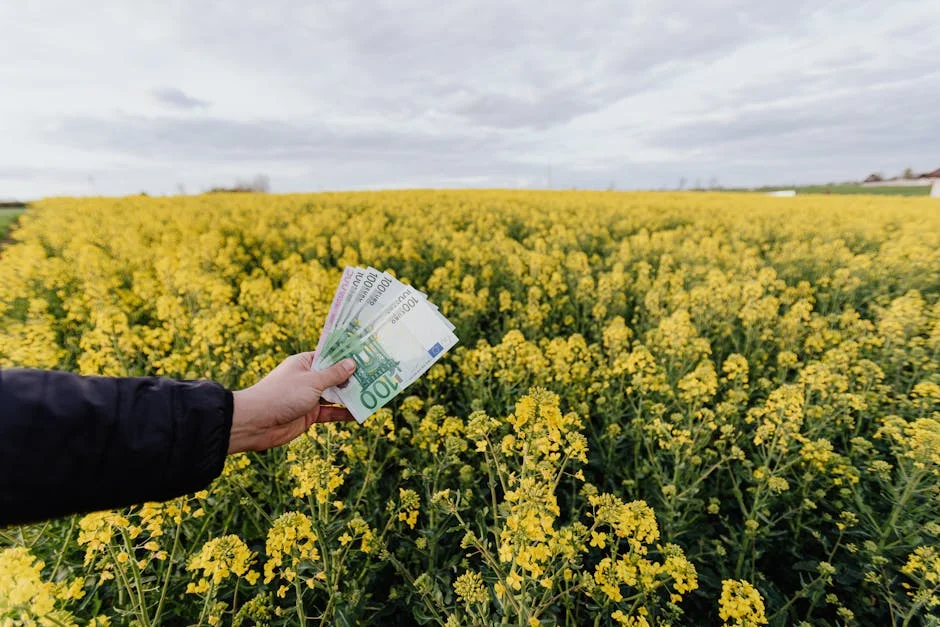 EuroMillions Jackpot Hits Record High — Nigerian Fans Eye Windfall — Infrastructure Cities