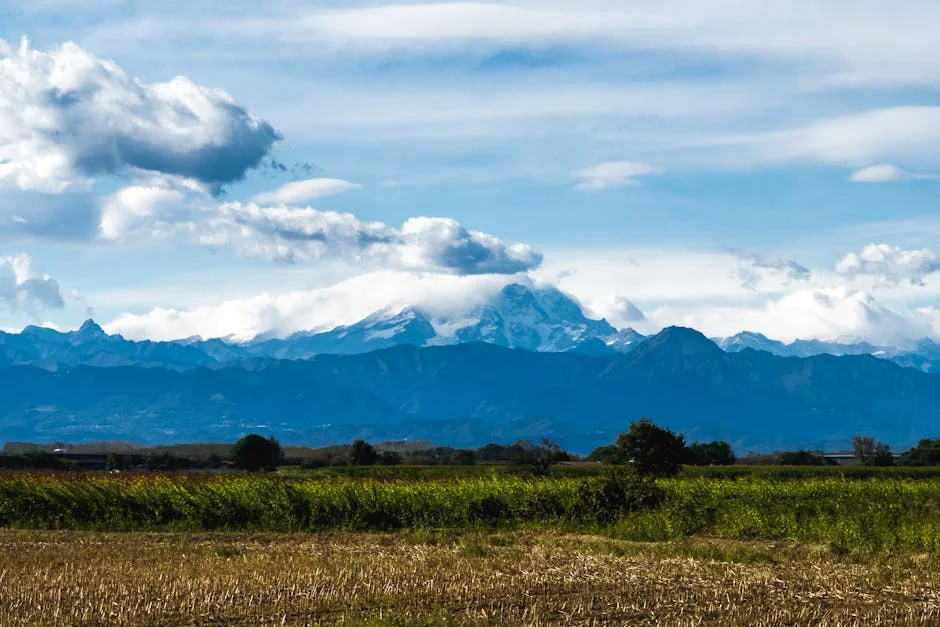 A Fresh Perspective on Economic Reporting — BlurryBay