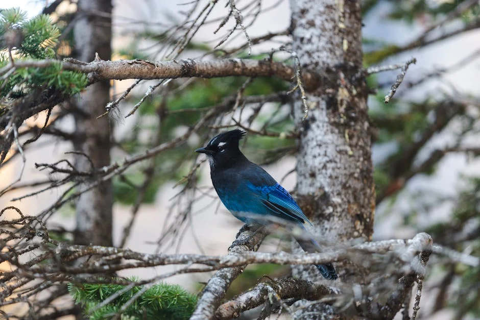 Fans Celebrate ‘Jay-Jay’ Okocha at 50