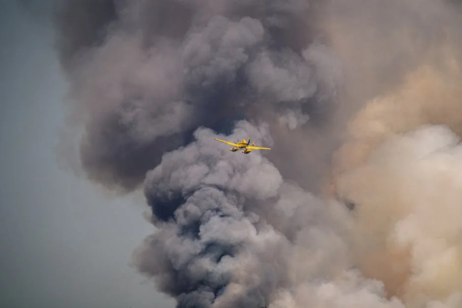 Fernando Pimenta Leads Portuguese Elite Canoe Team to Victory in Gondomar - What It Means for African Sports Development — Economy Business