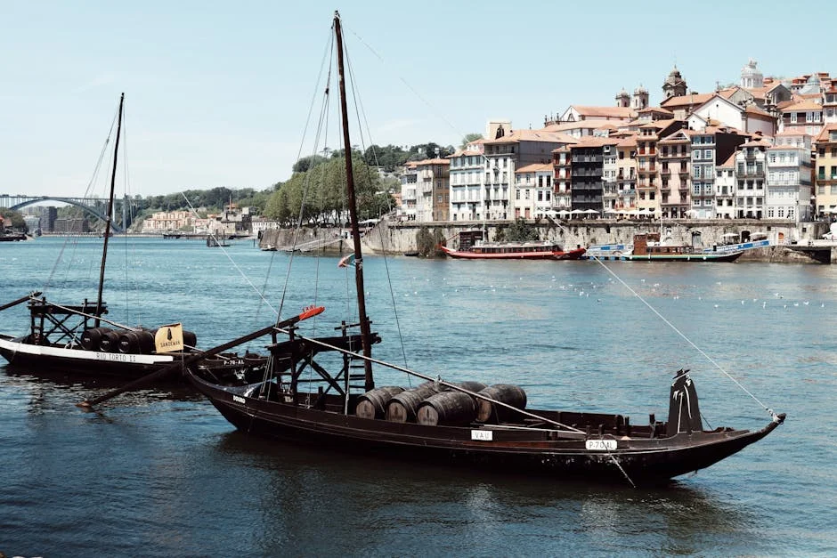 Fernando Retires After 18 Seasons at Porto — Economy Business