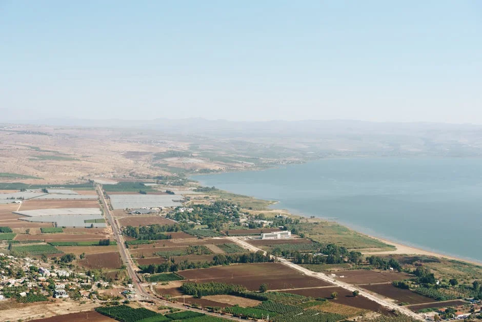 Four sons set out on a perilous migration route. Only one came home