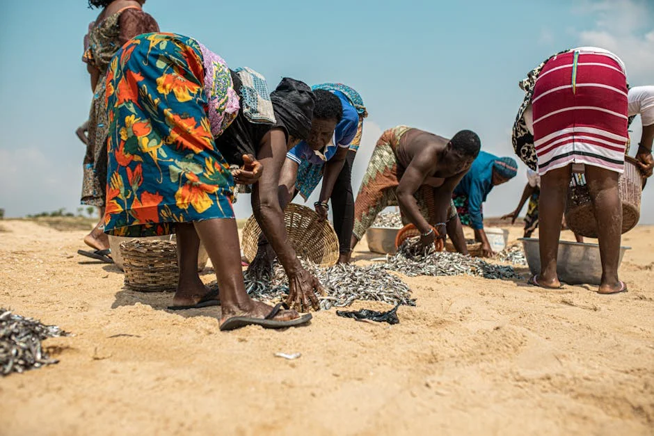 Fuel subsidy: Unilorin to provide free data to staff – VC