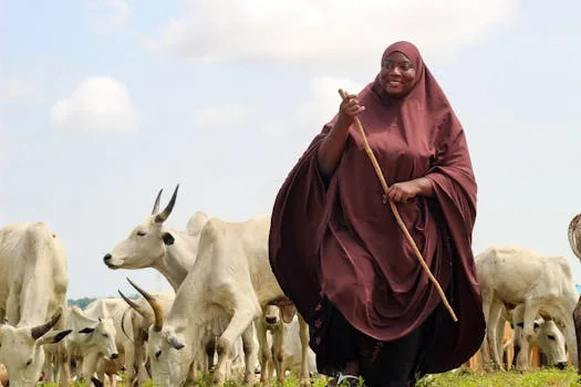 Fulani came to Plateau before Berom, Mwaghavul, others —MACBAN