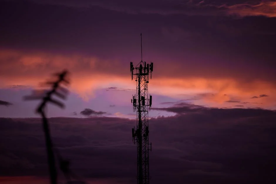 Gabon Bans Virtual Private Networks — Activists Warn of Rights Erosion — Politics Governance