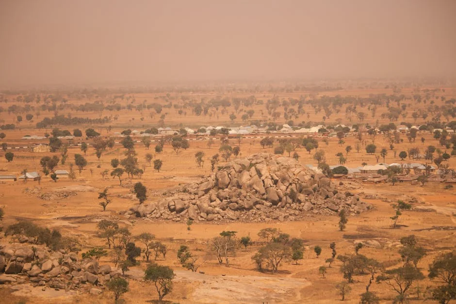 Lake Chad restoration project receives $800m international funding boost — Environment Nature