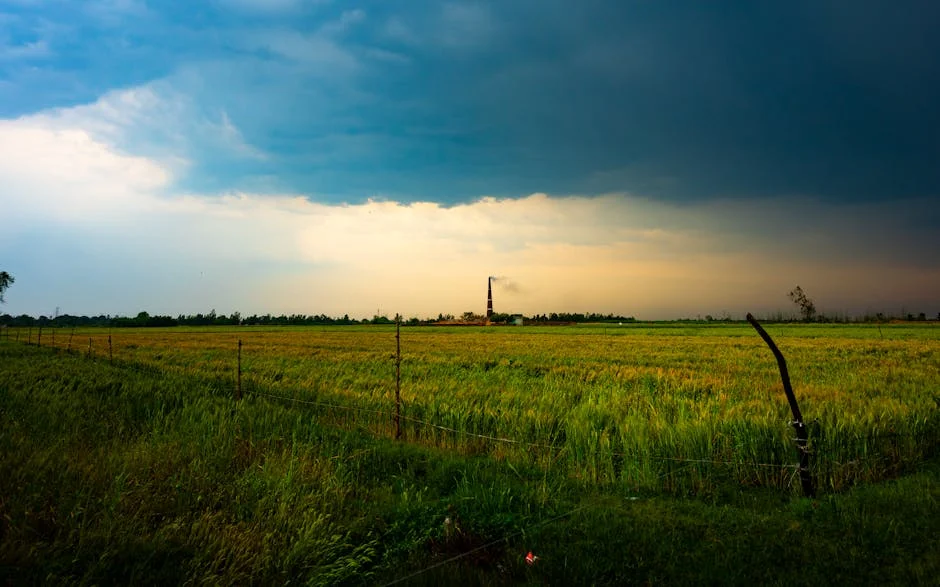 Gujarat Weather Sparks Concerns in Nigeria — Here's Why It Matters — Economy Business