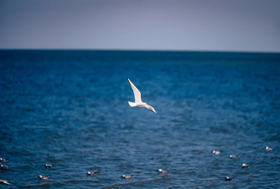 Gulf Nations Slam Trump's America First Policy - Reveals Deepening Rift With US Allies — Economy Business