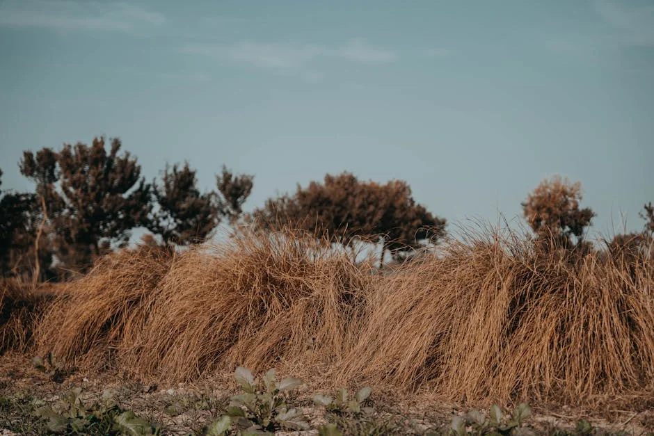 Hay Fever Symptoms Extend — Nigerians Struggle with Longer Allergy Seasons — Economy Business