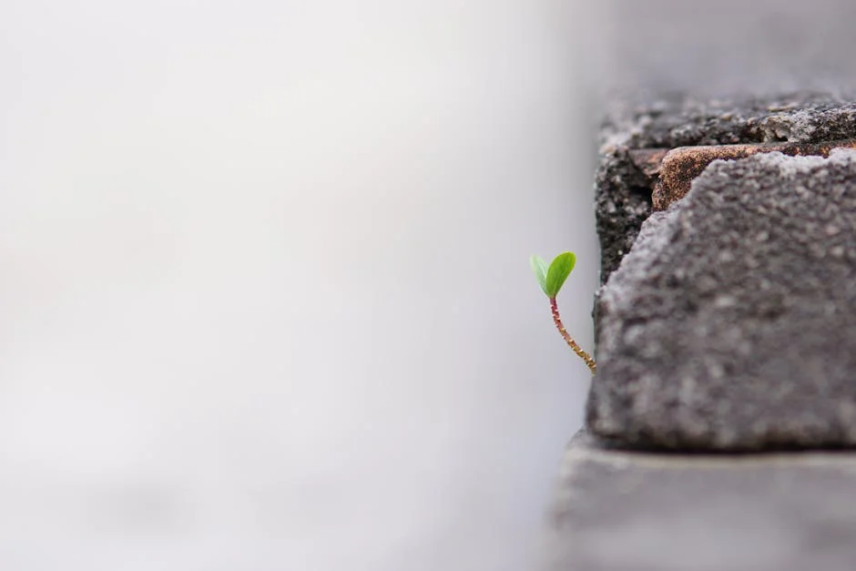 HONOR Wins Global Recognition at MWC 2026 for Foldable Magic Technology: Here's What It Means — Technology Innovation