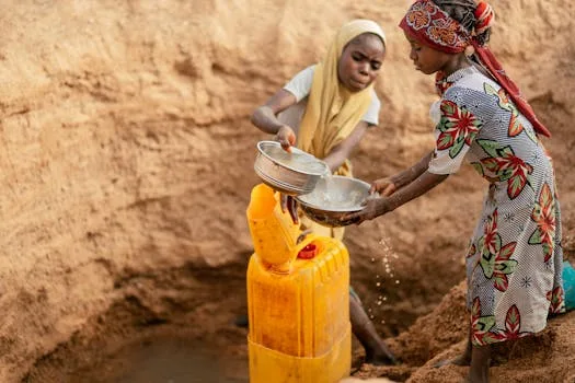 Humanitarian, Poverty Alleviation Trust Fund Registration Portal is fake – Minister