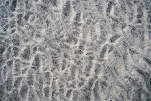 ‘I like Burna Boy,’ Harry Kane Reveals His Favorite Musician