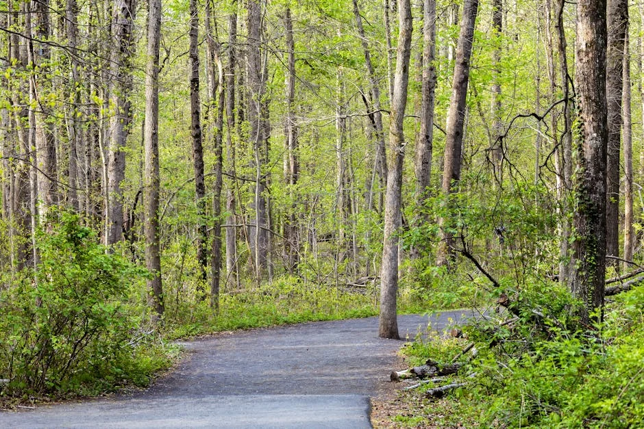 Ian Huntley dies in prison attack: what this means for child safety reforms — Economy Business