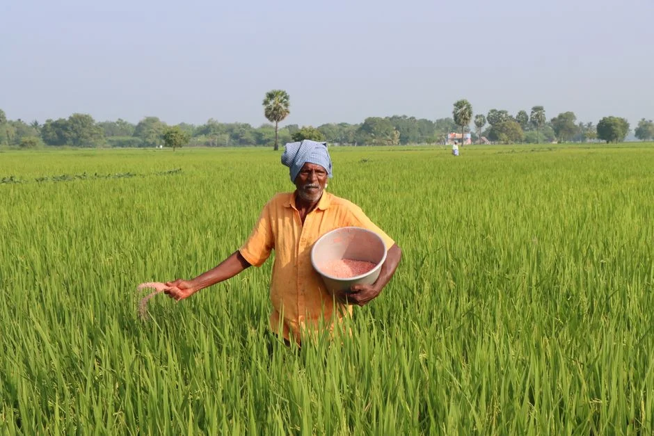 India Turns to Nigeria for Soybeans — What This Means for Local Farmers
