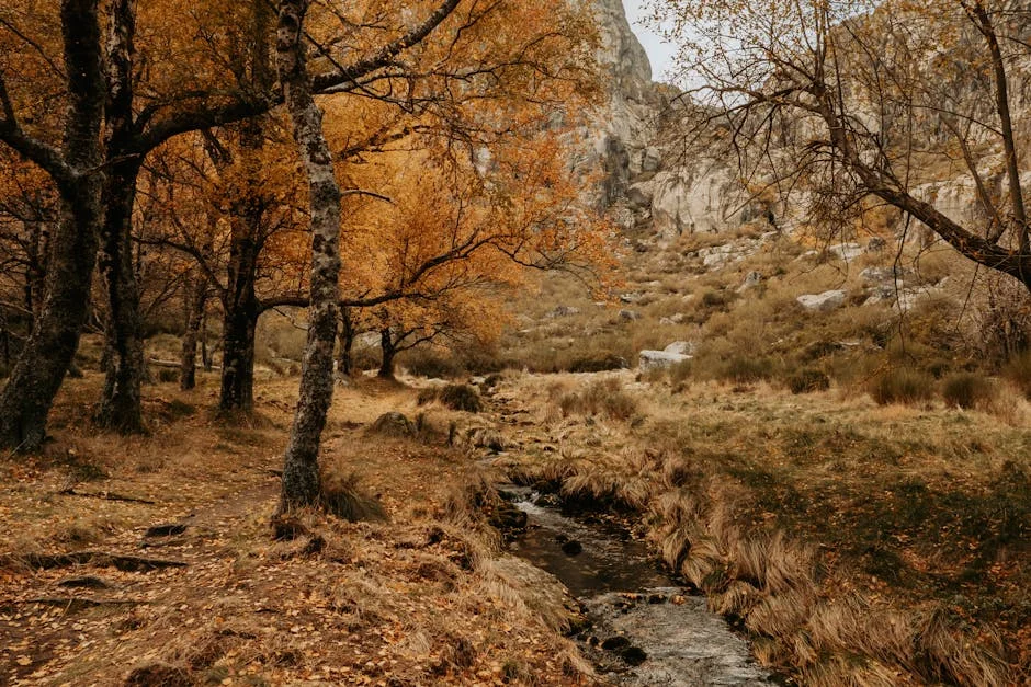 Iran Claims Responsibility for Attacks on Israeli, US Bases in Bahrain — Economy Business