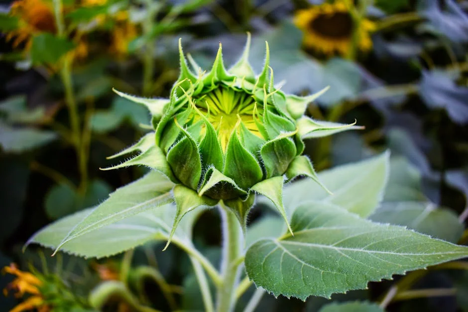 Iran's Conflict with the US Threatens India’s Economy — What This Means for Africa — Politics Governance