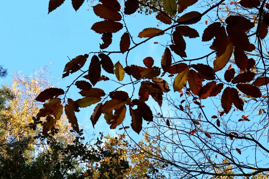 Iraola Leaves Legacy Caramel for Marco Rose in Europa Shift — Economy Business