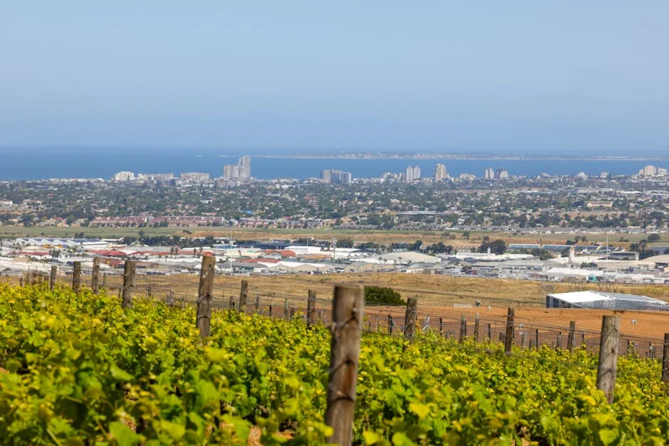 Jerome Booysen Exposes Armed Robbery Plot — Cape Town on Alert — Economy Business